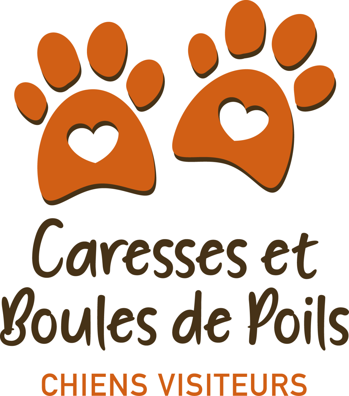 Caresses et boules de poils : chiens visiteurs