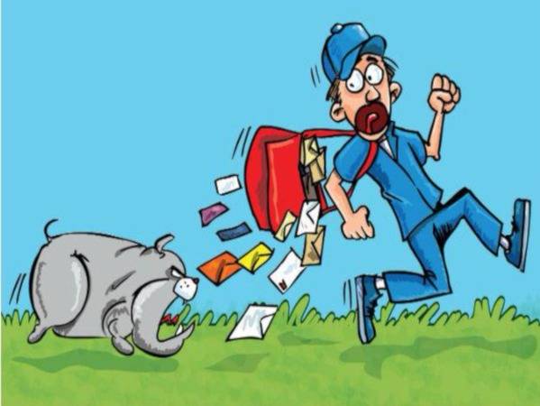  Propriétaires de chiens : Votre facteur est précieux, protégez-le !